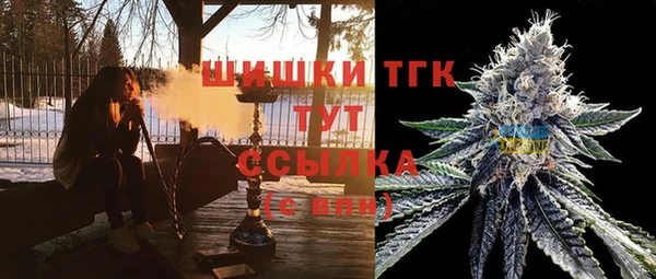 скорость Бородино