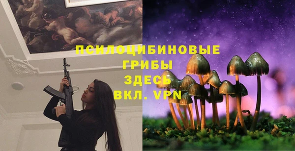 скорость Бородино